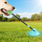 Dog Suction Cup Toy with Treat Ball & Sound – Interactive Puzzle