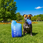 Funny Squeaky Dog Toys – Parody for Small to Large Dogs