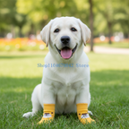 Winter Dog Knee Socks – Cotton Knit Leg Warmers for Small to Large Dogs