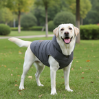 Brother Dog Cotton Winter Hooded Jacket – Warm Coat for Small Dogs