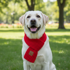 Fashion Pet Knitted Dog Scarf – Holiday Winter Neck Warmer