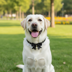 Dog Bib Necklace Lace Bow Tie Scarf – XS–XL