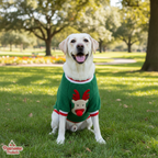 Nonecn Winter Dog Hoodie | Green Elk Print | XS Small Dogs