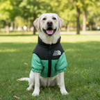 WANGUPET Windproof Dog Jacket | Reflective Winter Coat | Small & Medium Dogs