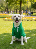 Frog Dog Hoodie Sweater – Green Cozy Pullover for Small Dogs