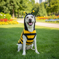 Bee Themed Dog Coat – Cozy Fleece Hoodie for Puppies