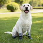 Waterproof Dog Boots – Non Slip Rubber Winter Paw Protectors