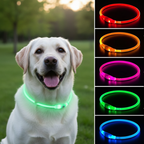 LED Dog Collar USB Rechargeable – 3 Mode Night Safety Light