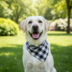 Large Plaid Dog Bandana Scarf – Soft Washable Cotton Red