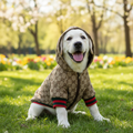 Autumn Winter Dog Jacket Windproof Coat – Polyester for Bulldog & Corgi