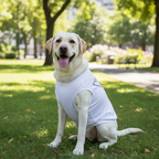 Summer Dog Vest Cotton Blend – Lightweight Small & Medium Tee