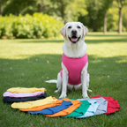 100% Cotton Dog Shirt – Breathable Soft Tee for All Sizes