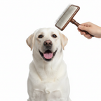 Dog Slicker Brush with Stainless Steel Pins & Wood Handle