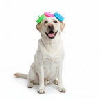 Round Pet Bath Brush – Colorful Grooming & Massage Comb