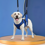 Pet Grooming Hammock & Restraint Bag - Hanging Sling for Nail Trimming