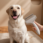 Floating Stainless Steel Dog Brush - Curved Undercoat Grooming Comb