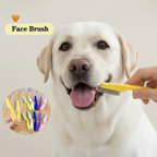 Pet Hair Shedding Comb – Stainless Steel Dog Brush