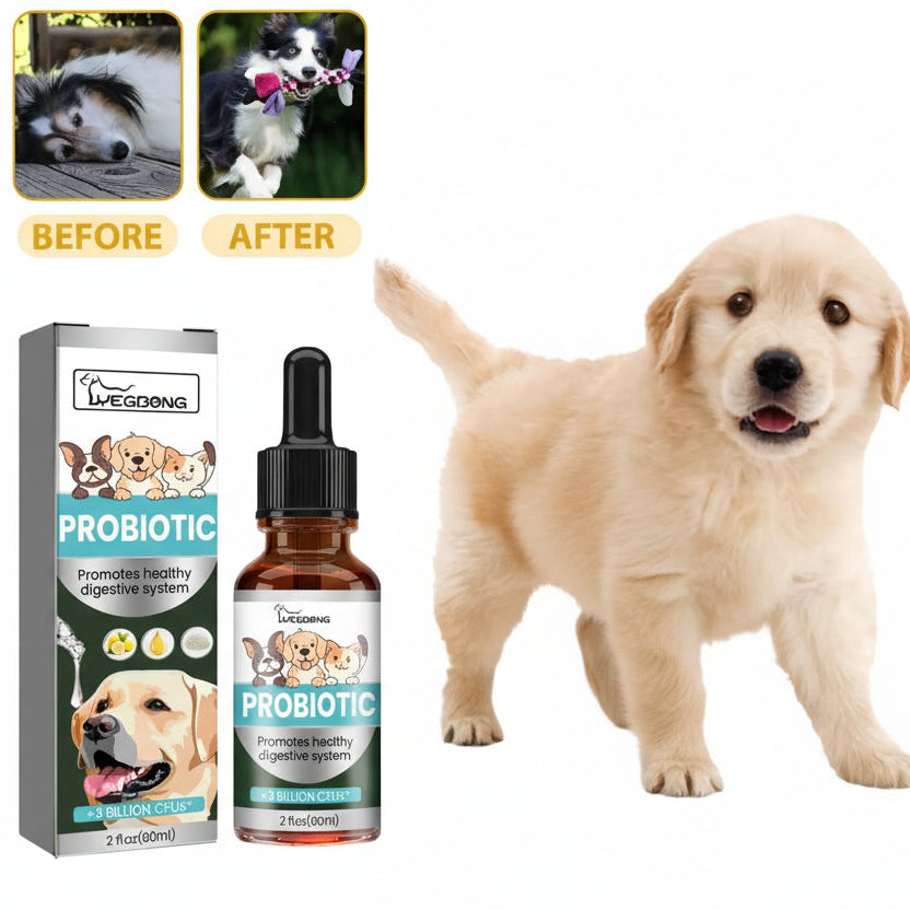 Daily Dog Probiotic Drops – Digestive Health & Stomach Support