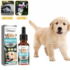Daily Dog Probiotic Drops – Digestive Health & Stomach Support