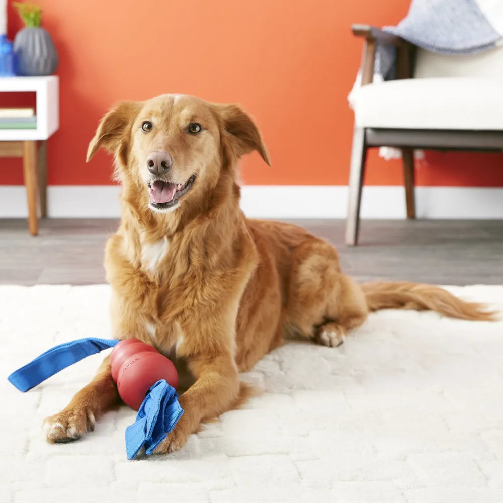 KONG Classic Tails Dog Toy – Tug & Toss Squeaky Toy with Nylon Tails
