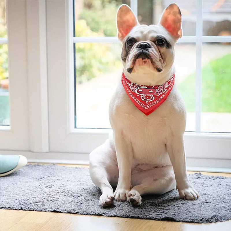 NONECN Dog Bandana Collar – Adjustable PU Leather Bib with Paisley