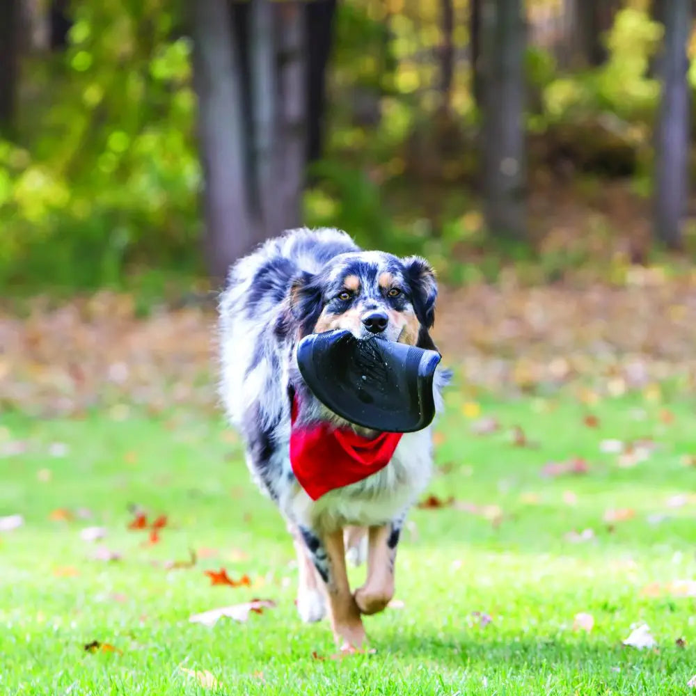 KONG Extreme Flyer Dog Toy – Durable Rubber Flying Disc for Fetch