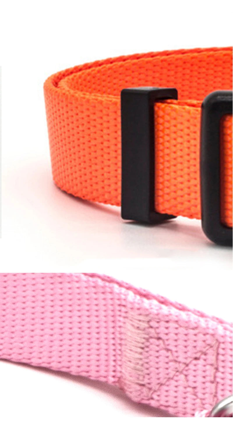 Solid Color Nylon Dog Collar – Adjustable Breakaway XS–XL