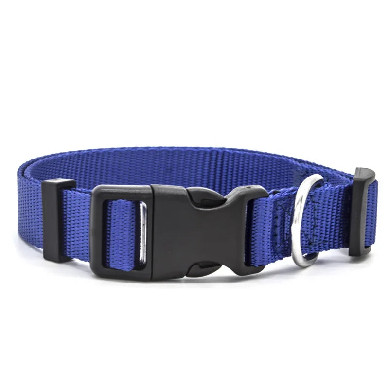 Solid Color Nylon Dog Collar – Adjustable Breakaway XS–XL
