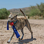 KONG Classic Tails Dog Toy – Tug & Toss Squeaky Toy with Nylon Tails