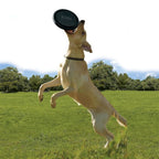 KONG Extreme Flyer Dog Toy – Durable Rubber Flying Disc for Fetch