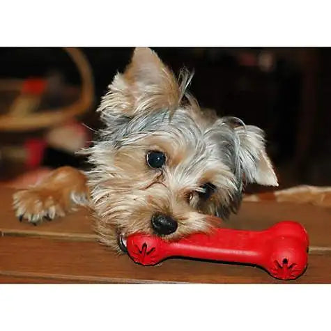 KONG Classic Goodie Bone Dog Toy – Treat Dispensing Rubber Chew Toy (S)