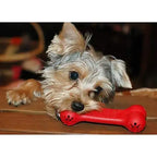 KONG Classic Goodie Bone Dog Toy – Treat Dispensing Rubber Chew Toy (S)