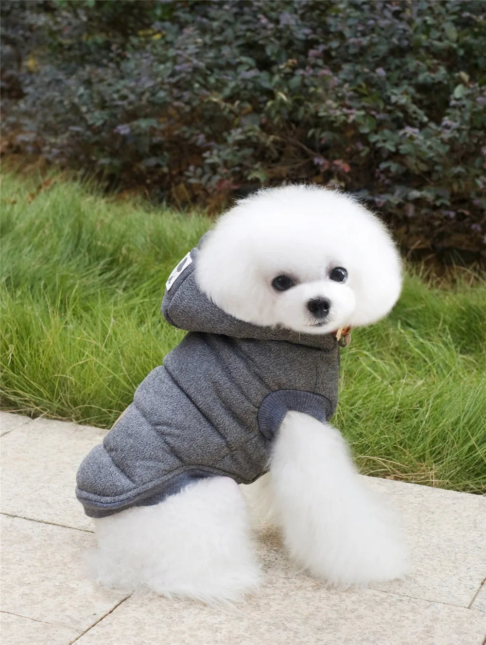 Brother Dog Cotton Winter Hooded Jacket – Warm Coat for Small Dogs