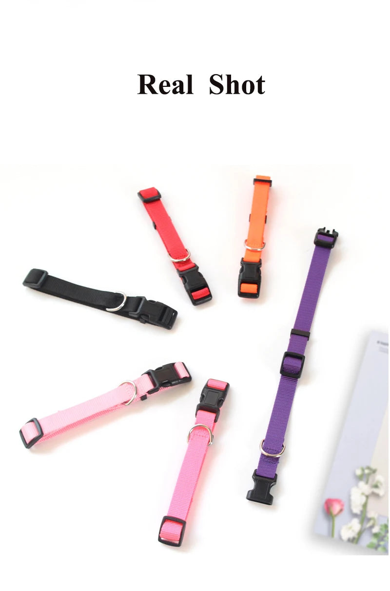 Solid Color Nylon Dog Collar – Adjustable Breakaway XS–XL