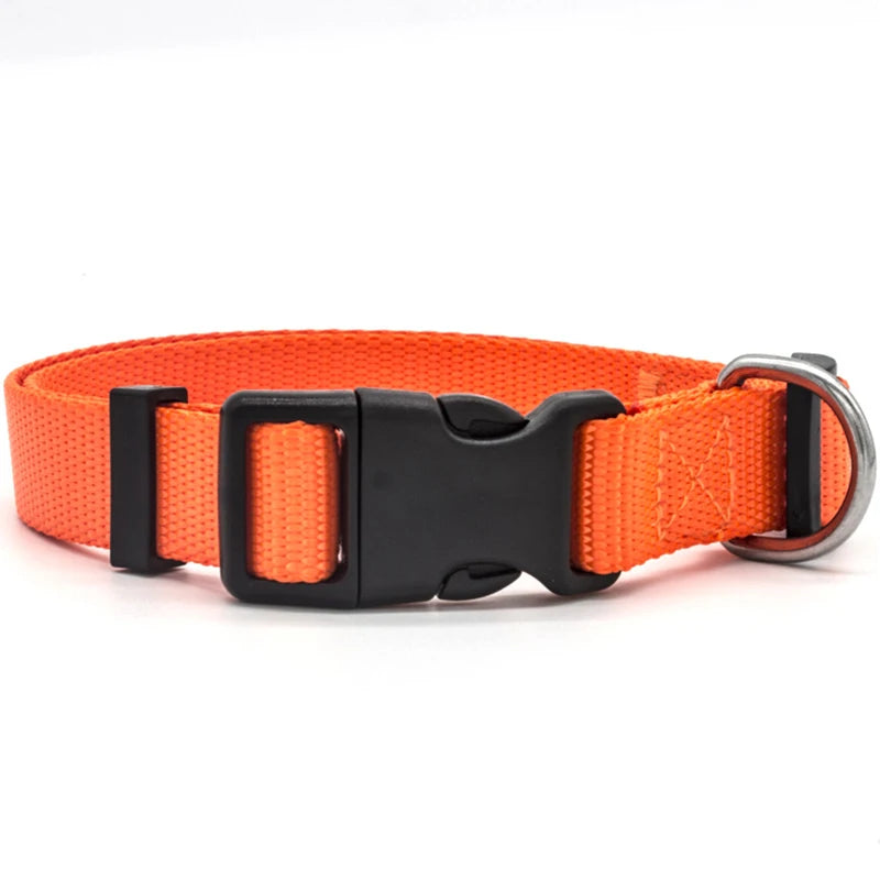 Solid Color Nylon Dog Collar – Adjustable Breakaway XS–XL