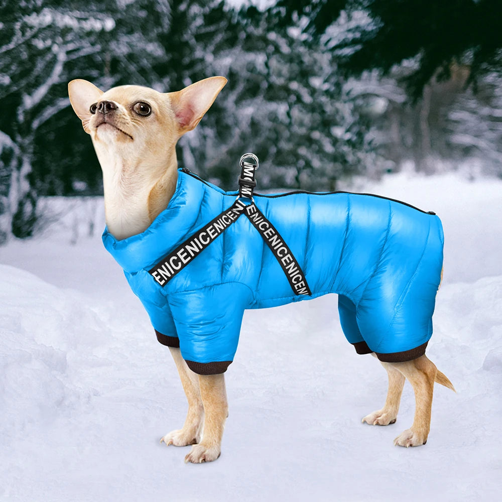 PET ARTIST Winter Dog Jacket – Waterproof Cotton Coat