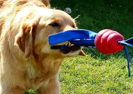 KONG Classic Tails Dog Toy – Durable Fetch & Tug