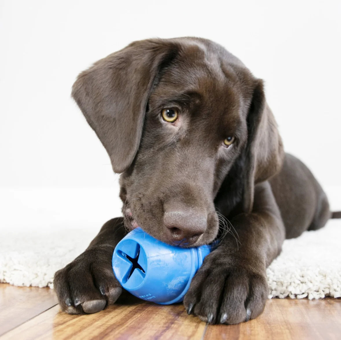 KONG Genius Leo Dog Toy – Treat Dispensing Interactive Puzzle Toy