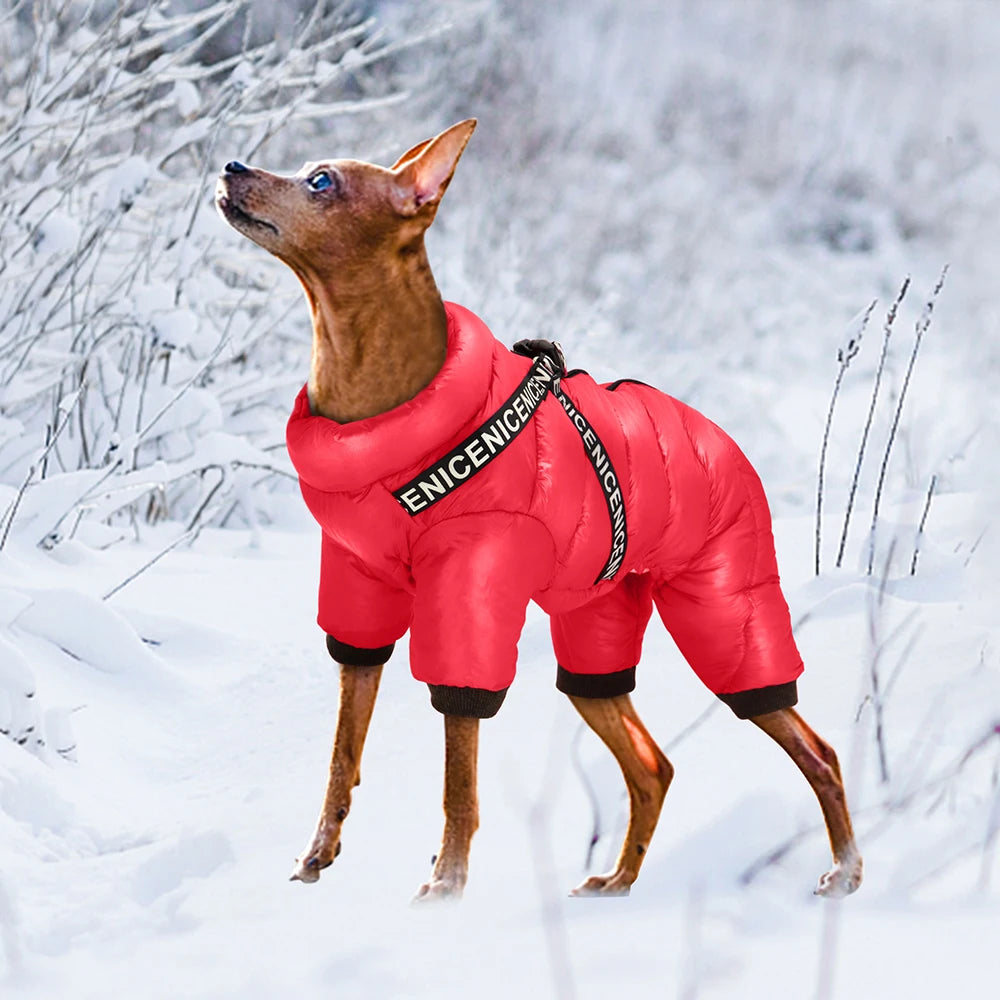 PET ARTIST Winter Dog Jacket – Waterproof Cotton Coat