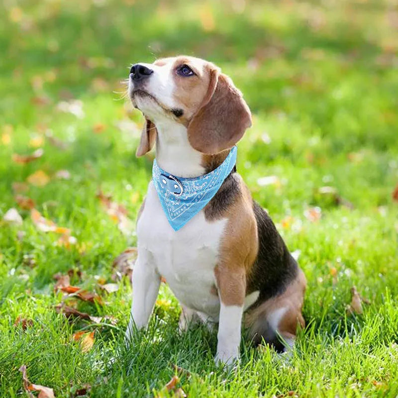NONECN Dog Bandana Collar – Adjustable PU Leather Bib with Paisley