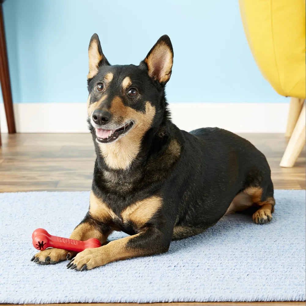 KONG Classic Goodie Bone Dog Toy – Treat Dispensing Rubber Chew Toy (S)