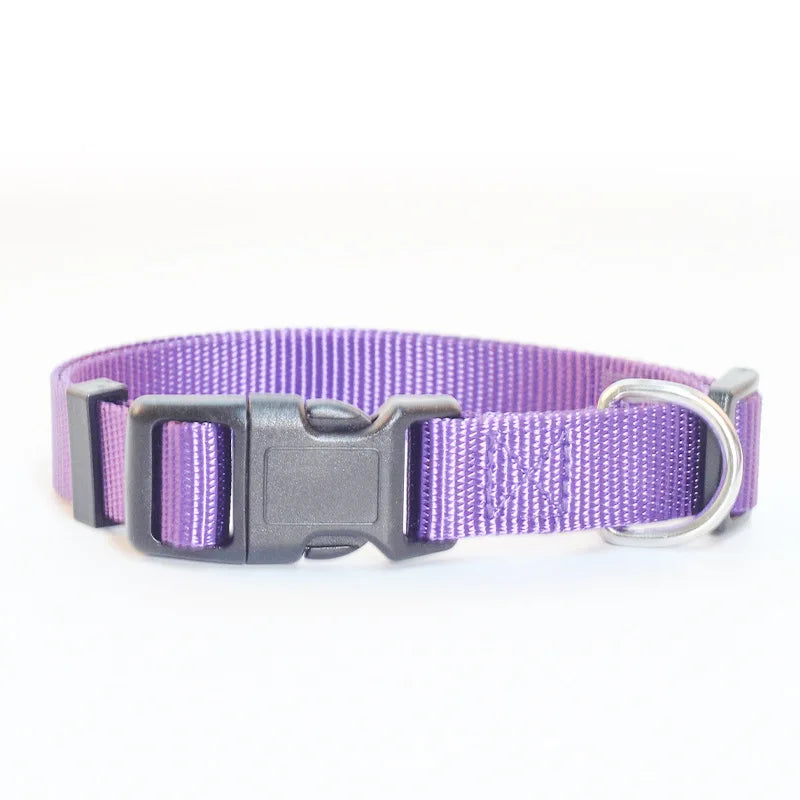 Solid Color Nylon Dog Collar – Adjustable Breakaway XS–XL