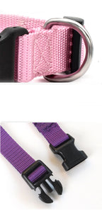 Solid Color Nylon Dog Collar – Adjustable Breakaway XS–XL
