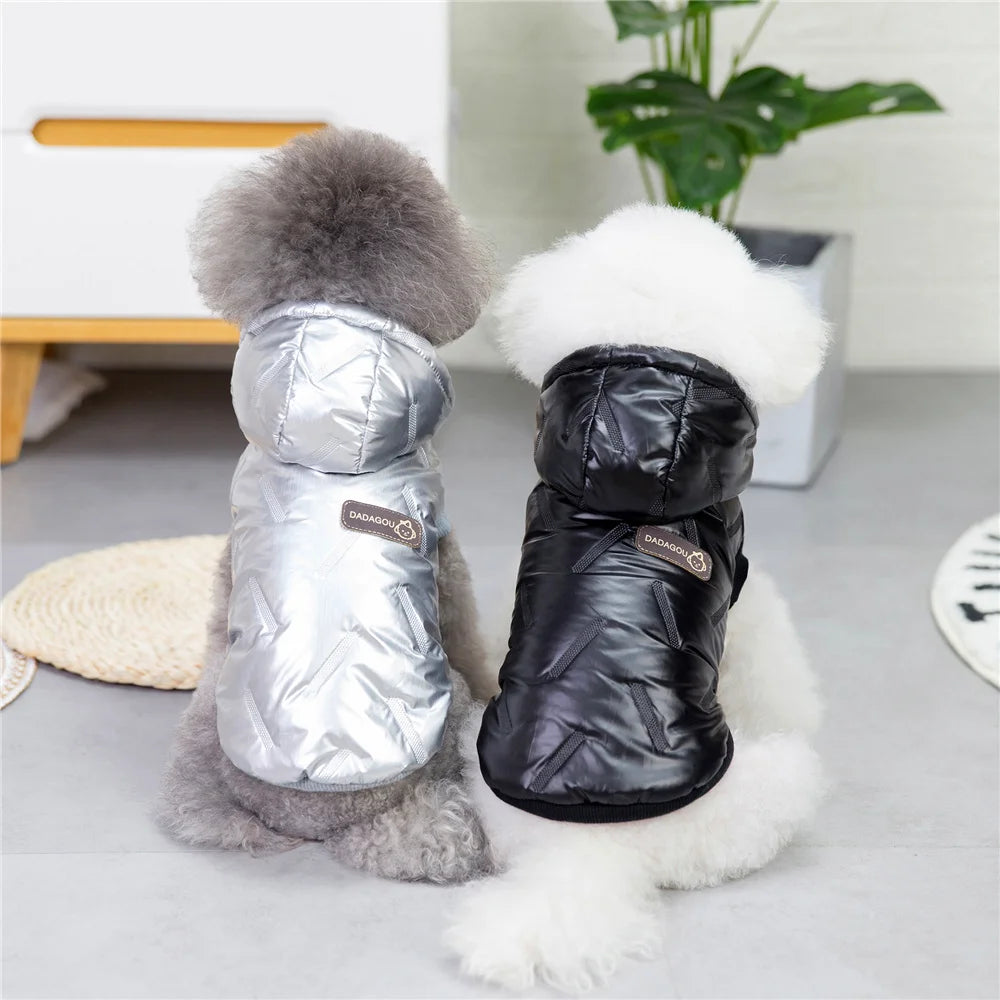 Brother Dog Cotton Winter Hooded Jacket – Warm Coat for Small Dogs