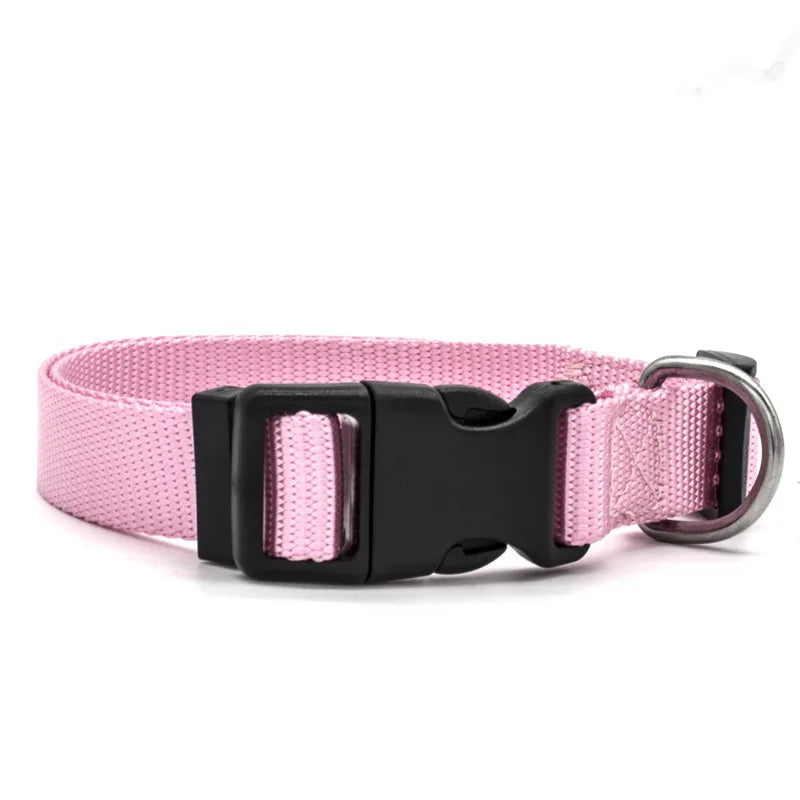 Solid Color Nylon Dog Collar – Adjustable Breakaway XS–XL