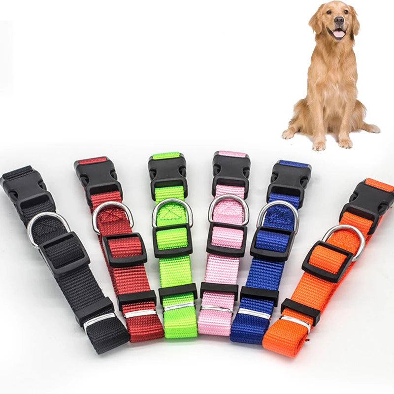 Solid Color Nylon Dog Collar – Adjustable Breakaway XS–XL