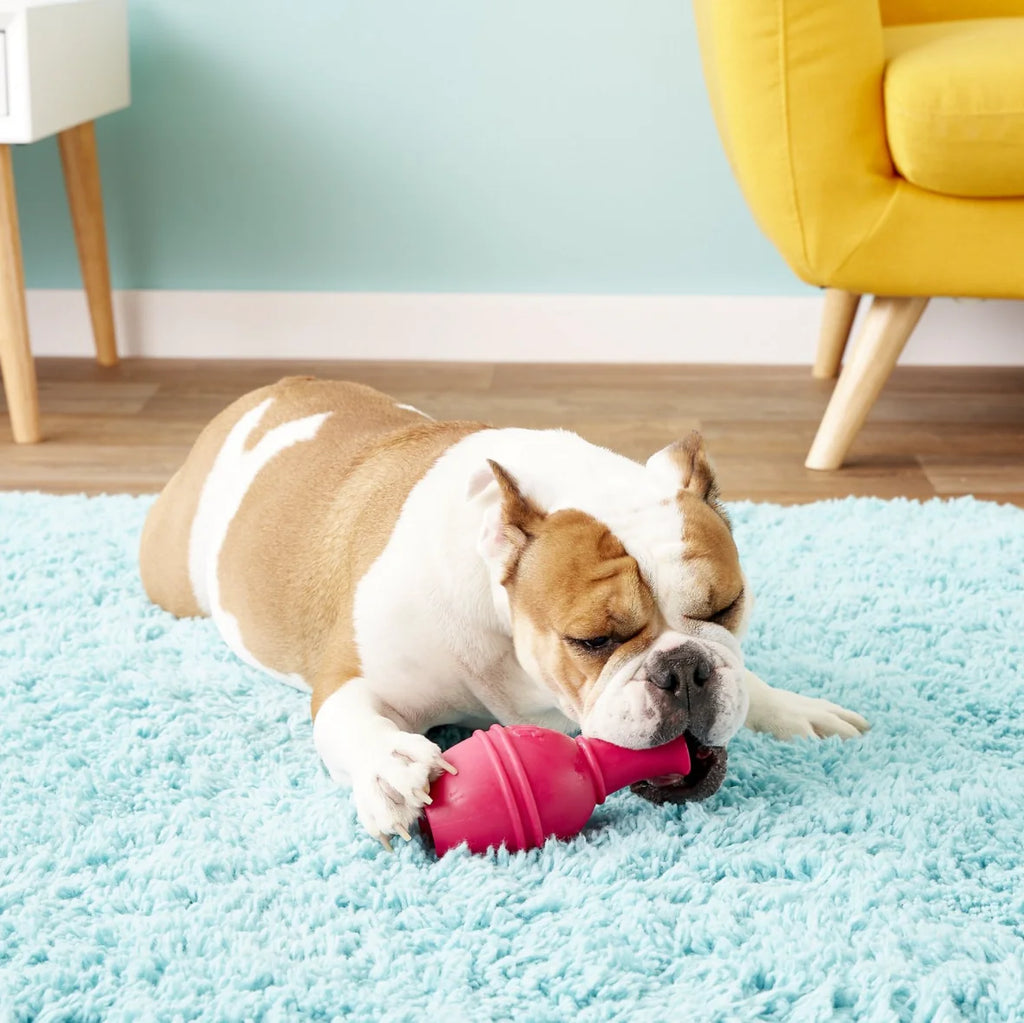 KONG Genius Leo Dog Toy – Treat Dispensing Interactive Puzzle Toy