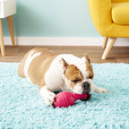 KONG Genius Leo Dog Toy – Treat Dispensing Interactive Puzzle Toy