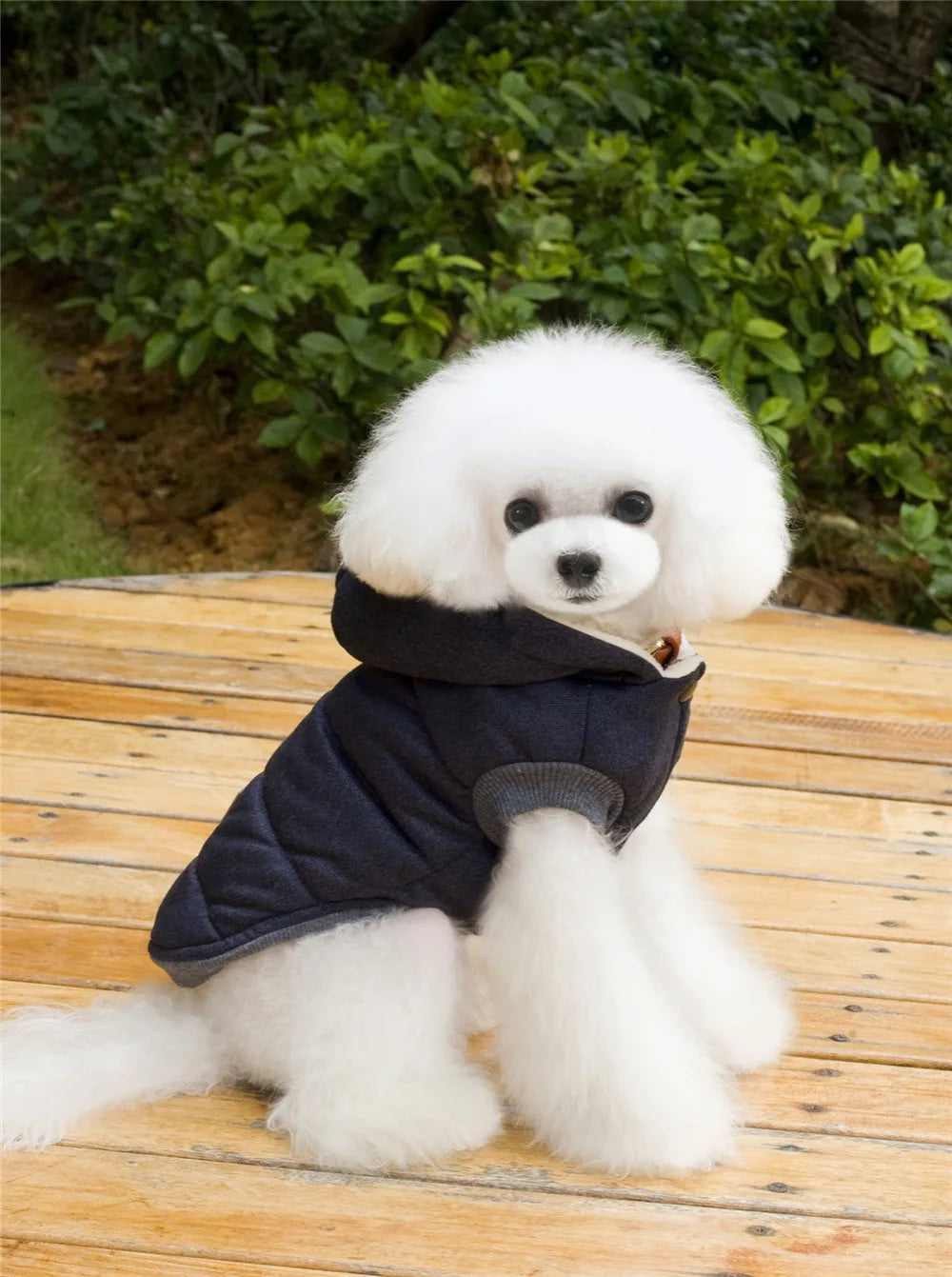 Brother Dog Cotton Winter Hooded Jacket – Warm Coat for Small Dogs