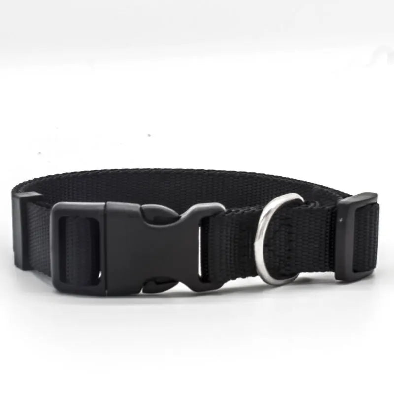 Solid Color Nylon Dog Collar – Adjustable Breakaway XS–XL